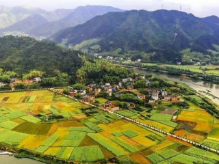 近日，甘肅省人民政府辦公廳關于對省鄉村振興局（原省扶貧辦）、省農業農村廳、省教育廳、玉門市、卓尼縣予以表揚的通報。根據《國務院辦公廳關于對2020年落實有關重大政策措施真抓實干成效明顯地方予以督查激勵